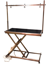 Mesa de Peluquería Eléctrica