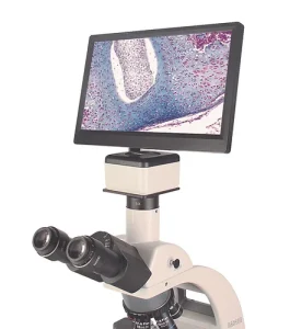 Microscopio Triocular BA-310 LED