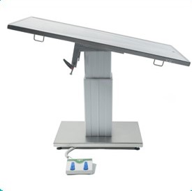 ELÉCTRICA 1 columna Plana