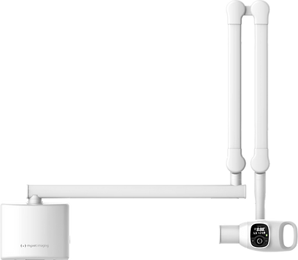 Periapical MYVET RAW