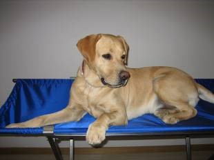 MESA ECO Mesa Ecografía