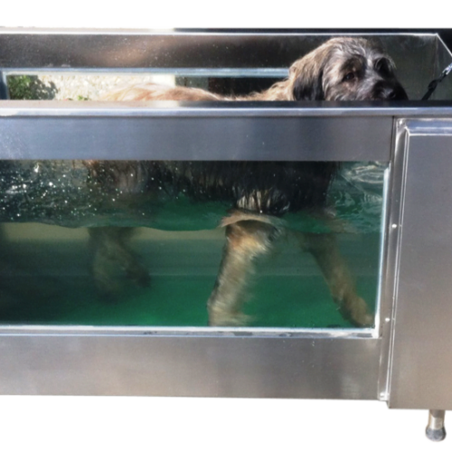 Cinta Acuática para Rehabilitación