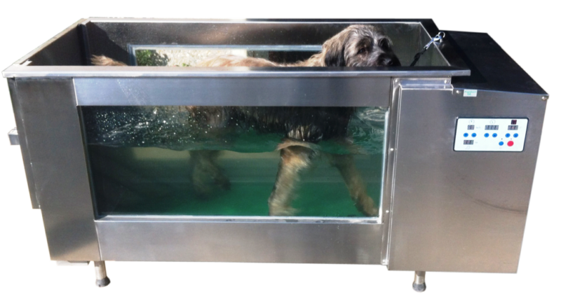 Cinta Acuática para Rehabilitación