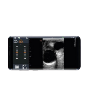 My Lab TRINGA MyLab TRINGA