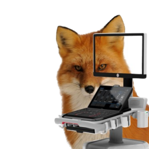 MyLab FOX vet
