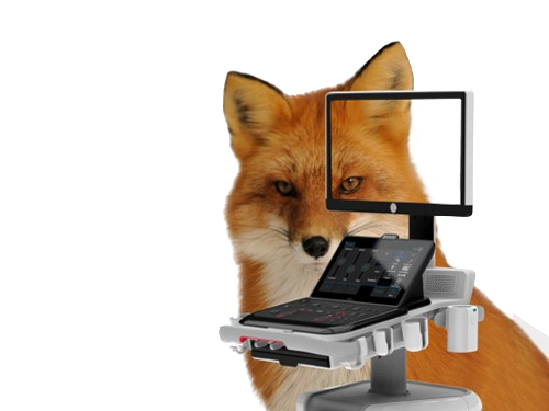 MyLab FOX vet