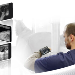 mylab-tringa-vet-overview02 MyLab TRINGA