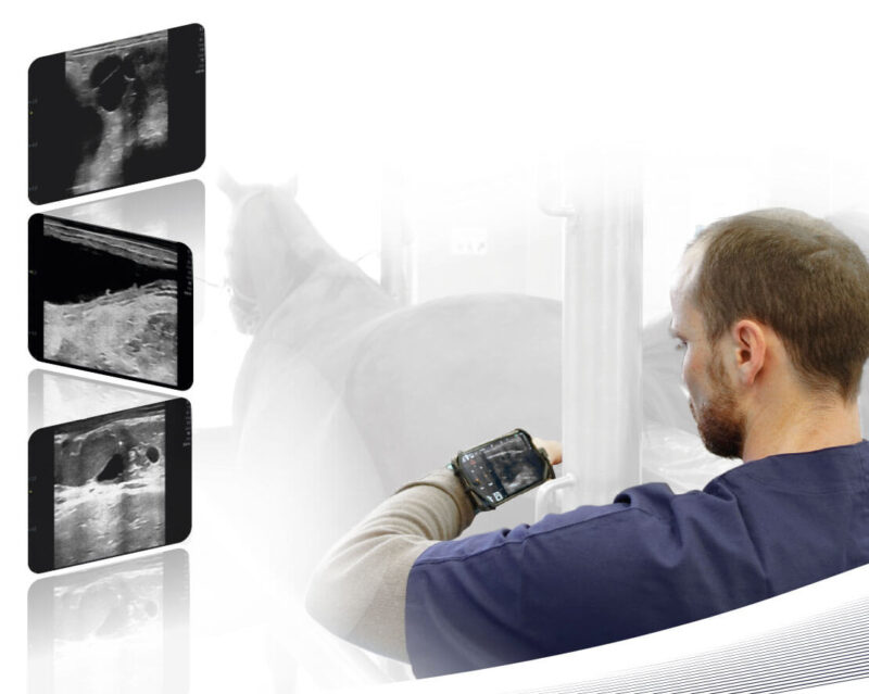 mylab-tringa-vet-overview02 MyLab TRINGA